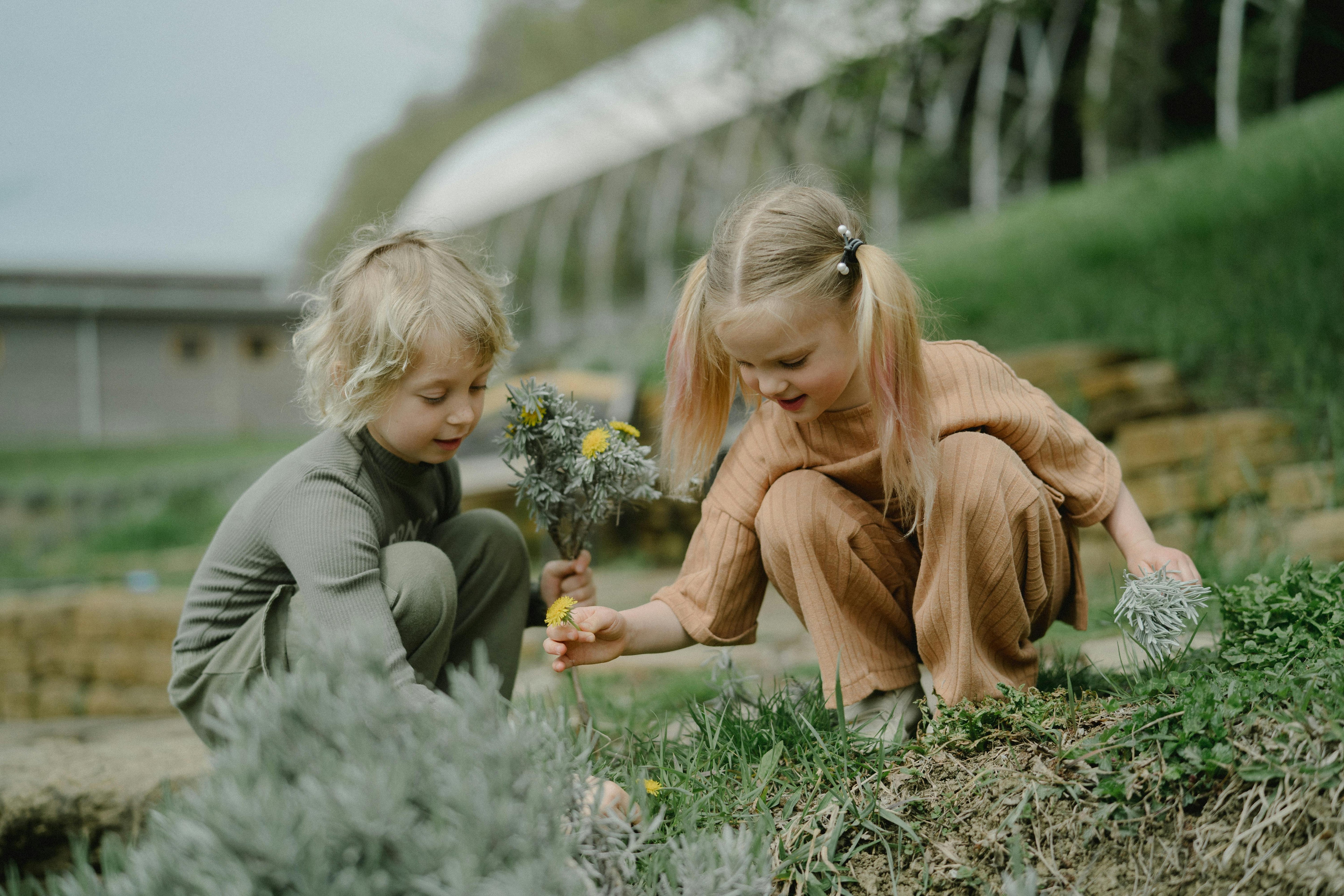 Herbalism For Children: Safe Remedies, Dosages, and Benefits