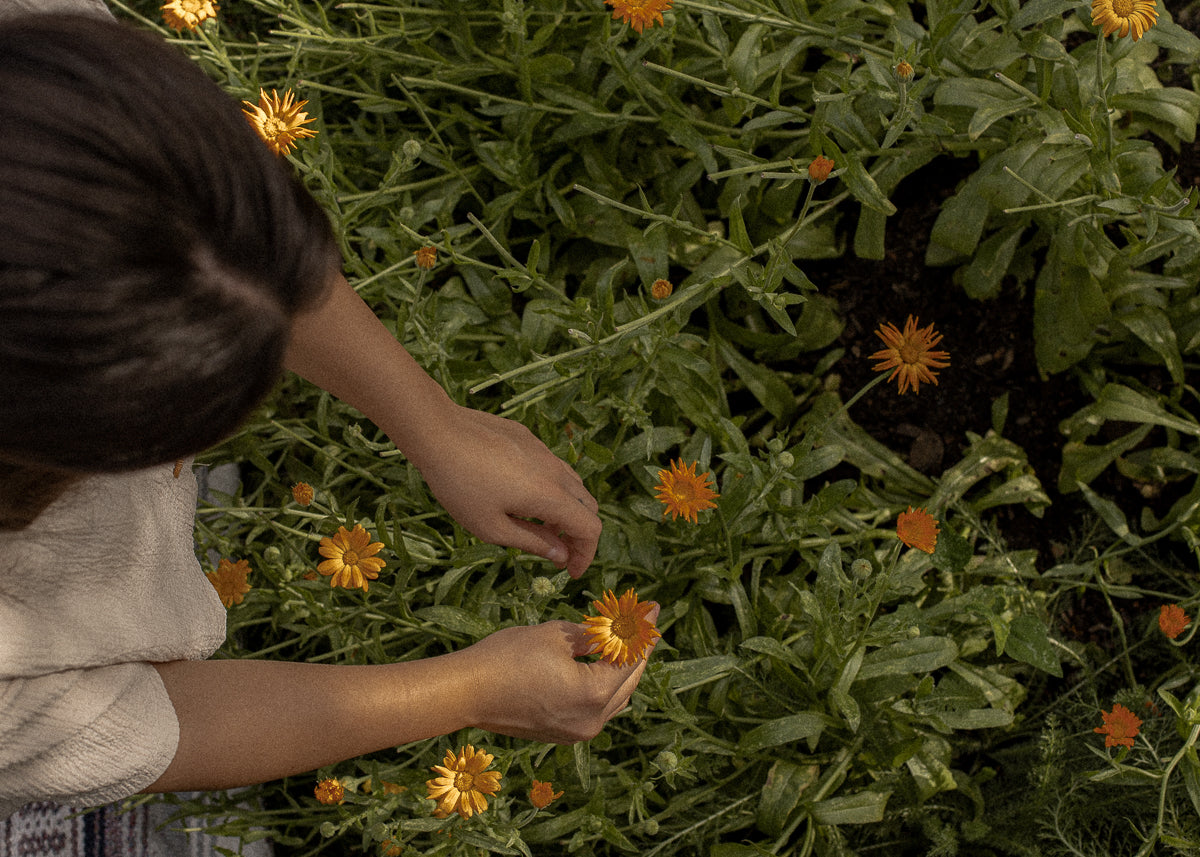 All-natural herb-infused wellness and beauty